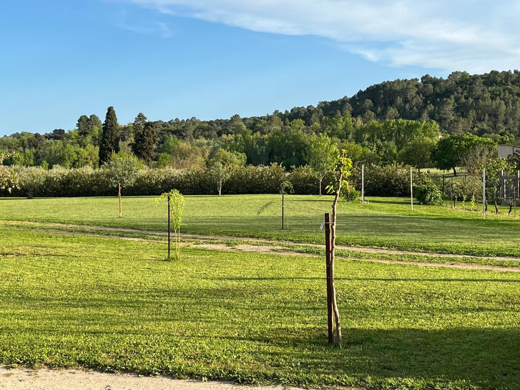 La Bergerie Apartman Domessargues Kültér fotó