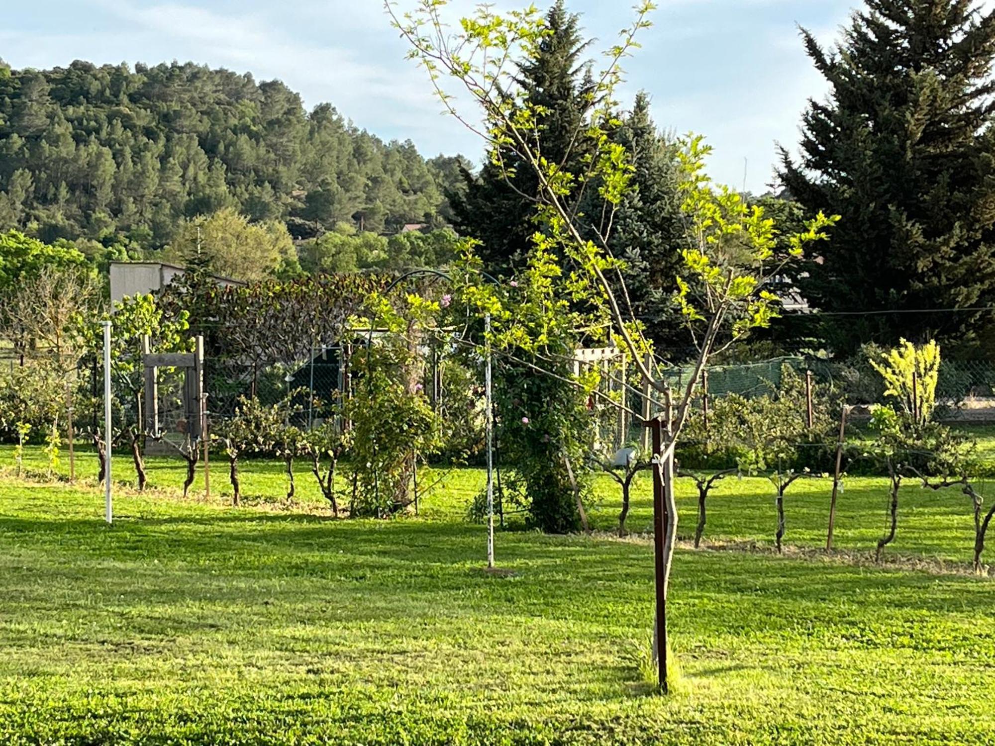 La Bergerie Apartman Domessargues Kültér fotó